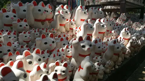 Les chats porte-bonheurs de Tokyo Les chats porte-bonheurs de Tokyo