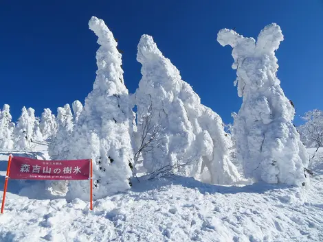Snow monsters du mont Moriyoshi Snow monsters du mont Moriyoshi