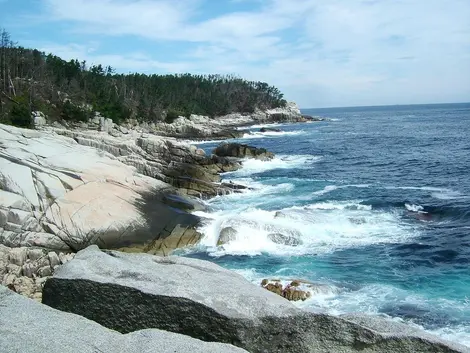 Ile de Kinkasan, Senjojiki