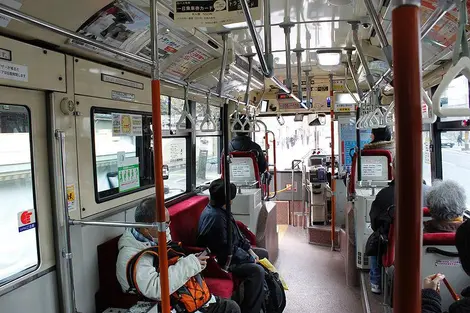 bus bus