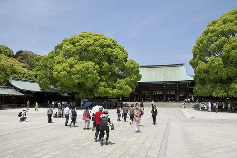 meiji-jingu meiji-jingu