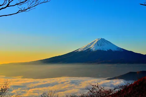 fuji fuji