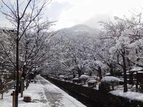 The Philosopher's Path in winter