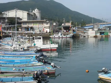 A Toba, le port de pèche est paré de bateaux A Toba, le port de pèche est paré de bateaux