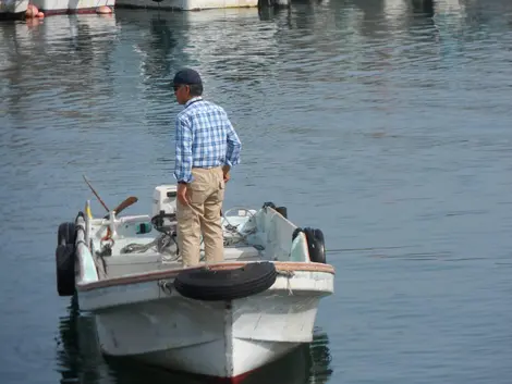Le tamae, l'homme qui accompagne les ama en mer Le tamae, l'homme qui accompagne les ama en mer