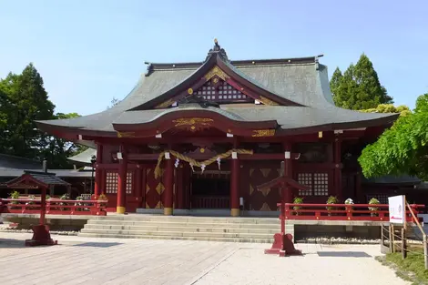 Kasama Kasama