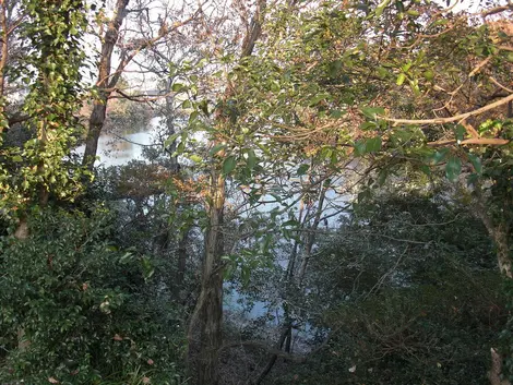 Futatsu_pond_West_pond Futatsu_pond_West_pond
