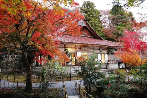 Le jardin du temple Shôbô-ji Le jardin du temple Shôbô-ji