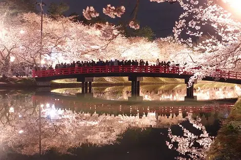 Le parc du château d'Hirosaki Le parc du château d'Hirosaki