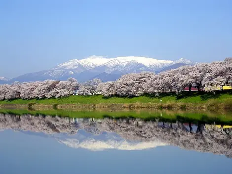 Hitome Senbon Zakura Hitome Senbon Zakura