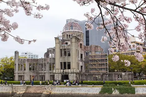 Hiroshima hanami Hiroshima hanami
