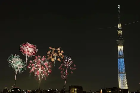 Sumida River Fireworks Festival Sumida River Fireworks Festival