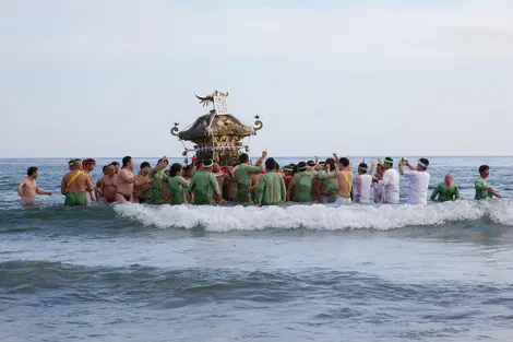 Porteurs de mikoshi dans la mer