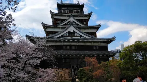 Burg Hiroshima (Karpfenburg), berühmt für ihre Kirschbäume