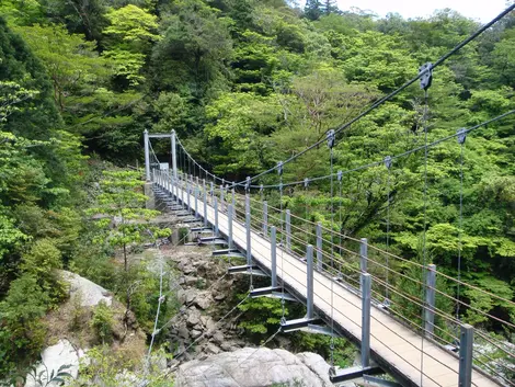 Yakushima