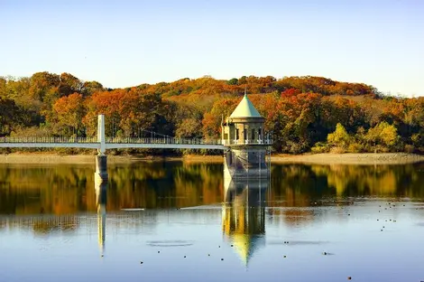 Le lac Sayama