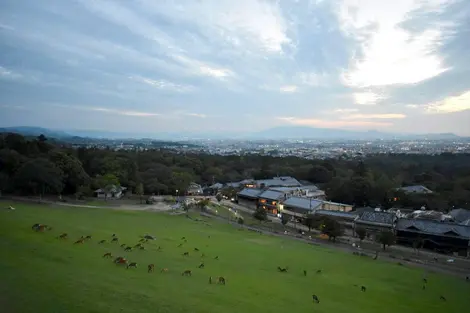 Blick vom Berg Kasugayama, neben dem Todaiji