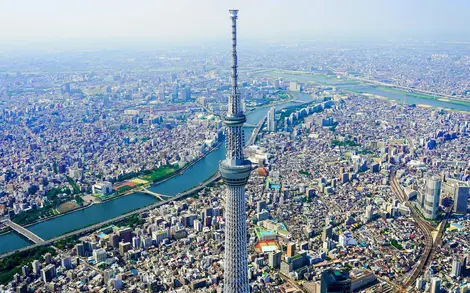 tokyo tokyo
