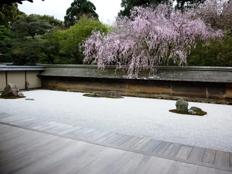 The most beautiful Japanese Zen gardens