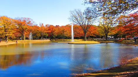 Yoyogi-koen Yoyogi-koen