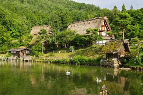 Takayama Takayama