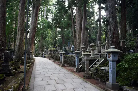 okunoin okunoin