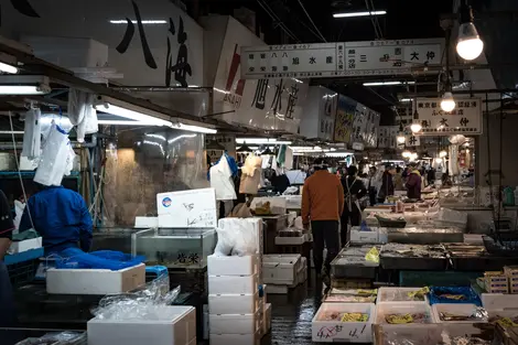 Marché Tsukiji Marché Tsukiji