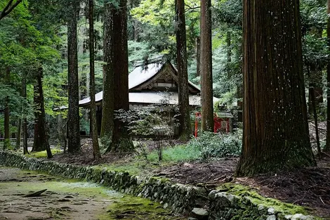 Kozanji Kozanji
