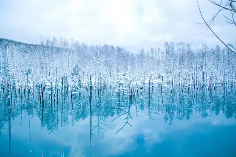 L'étang bleu de Biei