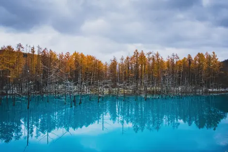 L'étang bleu de Biei