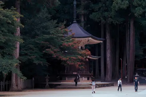 Sechseckige Pagode des Tempelkomplexes Danjō-garan