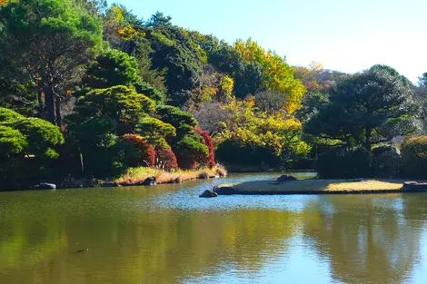 le jardin japonais de Koishikawa Shokubutsuen le jardin japonais de Koishikawa Shokubutsuen