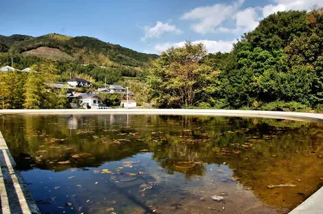 Japan Visitor - honpukujiawaji1.jpg