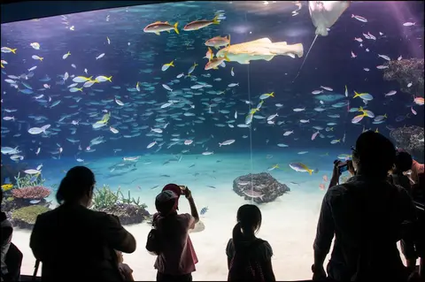 L'aquarium de Sunshine City à Ikebukuro, Tokyo L'aquarium de Sunshine City à Ikebukuro, Tokyo