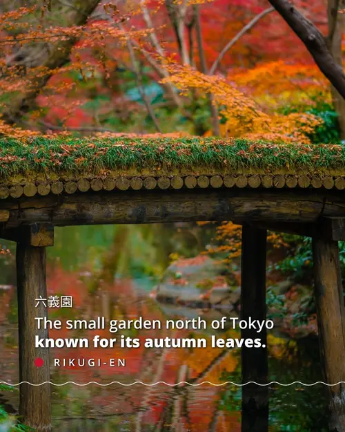 Top 10 parks and gardens in Tokyo | Japan Experience