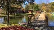 Bridge over the lake to wooden buidlings with a tree in the foreground. 