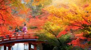 Autumn in Japan