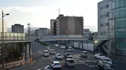 Crossing in Japan