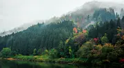 Paysage de rivière, de forêt et de montagne
