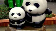 El zoológico de Ueno, primero en recibir una pareja de pandas chinos.