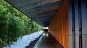 Un paravento di bambù protegge il Museo Nezu dall'agitazione vicina.