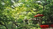 Le jardin Happô-en, dans l'arrondissement de Minato à Tokyo, offre un cadre à la fois bucolique et romantique pour les flâneries amoureuses