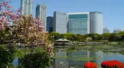 « Site historique spécial », le jardin Hama-Rikyu Onshi Teien est l’ancienne réserve de chasse des Tokugawa. 