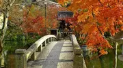 Puente de piedra en el Zenrin-ji.