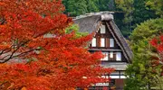 Casa tradicional de Hida no Sato.