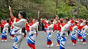 Bailarinas durante el festival Hakone Daimyo Gyoretsu.