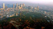 Avec ses 70 hectares, le parc Yoyogi est le poumon vert de Tokyo.