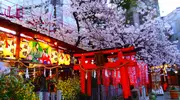 El torii del santuario Ohatsu Tenjin.