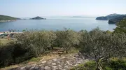 Oliveraies de Shôdo-shima