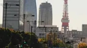 Few running around the Imperial Palace, Tokyo Tower with a backdrop.